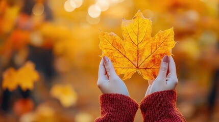 Hands hold a bright yellow maple leaf with an orange and yellow bokeh background. Perfect for autumn ads, cozy season greetings, or seasonal blog posts.
