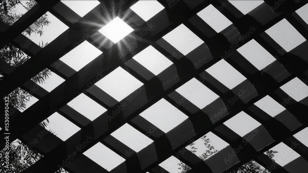 Poster a black and white of a lattice with a sun shining through it. the has a moody and mysterious feel to