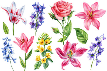 Set Roses Lilies Tulips Delphinium Yellow Wildflowers Botanical Spring Flowers. Wedding Greeting Design Watercolor Floral Clipart 