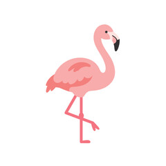 Fototapeta premium Pink Flamingo Illustration