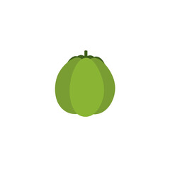 Round, green, squash-like fruit sits centered on a plain white background, minimalist design