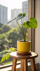 Indoor Houseplant by Window Stylish Yellow Planter on Wooden Stool with Cityscape View and Natural Light for Urban Décor