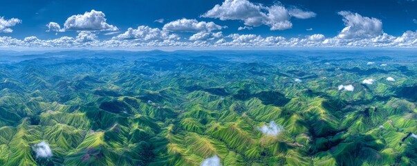 A panoramic view of Dorrigo National Park in NSW, Australia, is visible