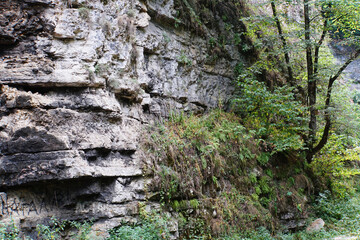 Sedimentary rocks with trees near a waterfall