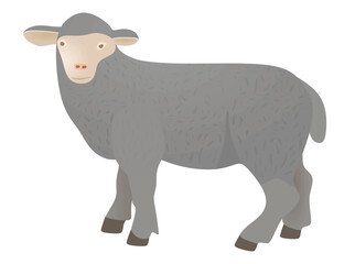 Grey sheep isolated. vector illustration	
