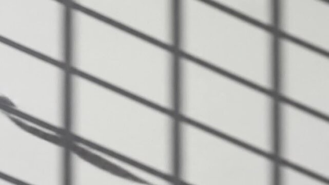 Abstract grid pattern background