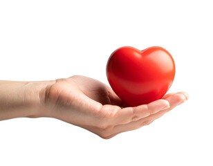 Obraz premium heart in hand