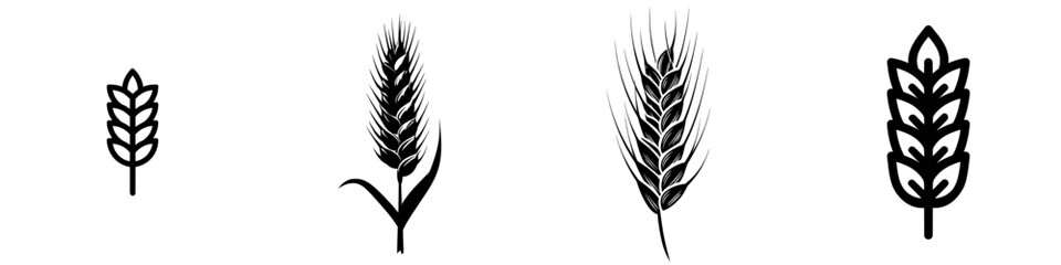 A black ear of wheat stands alone as a silhouette on a white background, symbolizing the icon of wheat
