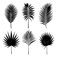Fototapeta premium Isolated silhouettes of tropical plants, including palm leaves, set against a white background in black and white
