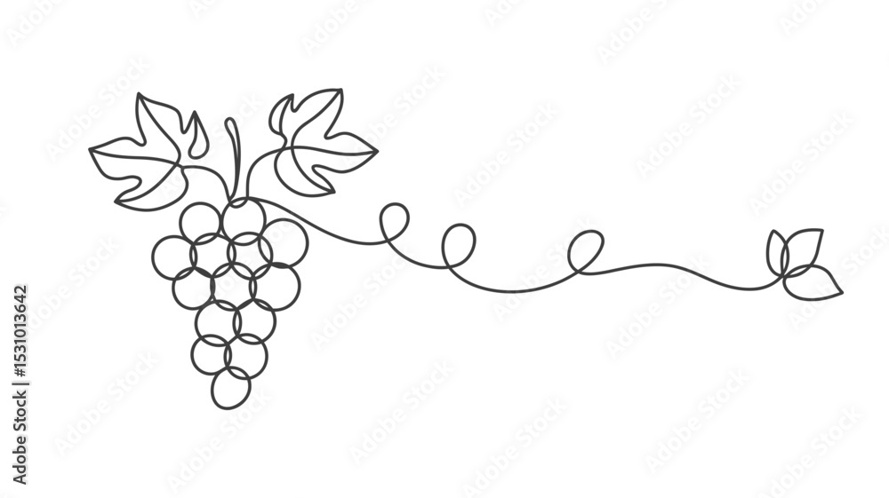 Poster elegant grape vine continuous line drawing on white background
