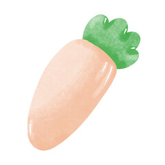Orange carrot painting on white background
