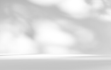 Empty white room studio with leaves shadow overlay effect for product presentation display. Cosmetic beauty fashion showroom. Morning sunlight through the window. Minimal Mock up interior background.