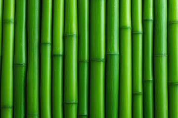 Obraz premium Natural Bamboo Fence, Tropical Bamboo Forest, Sustainable Resource, Organic Texture, Vibrant Green Tones Photography - Fresh Green Bamboo Stalks Background