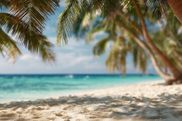 Palm trees hanging over empty tropical beach with beige sand