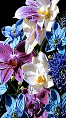 Close up of a colorful floral arrangement featuring orchids, delphiniums, and dahlias, glistening with water droplets against a dark background, creating a vibrant and refreshing display
