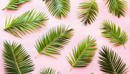 Flatlay of tropical palm leaves arranged on a pink background. Perfect for summer themes, travel, and vacation designs.