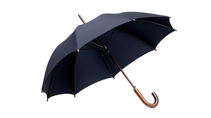 Classic black umbrella with wooden handle