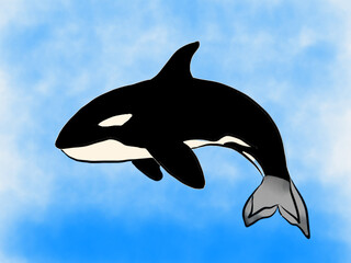 Whale in deep sea water