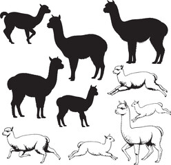 Alpaca Silhouettes Vector Pack