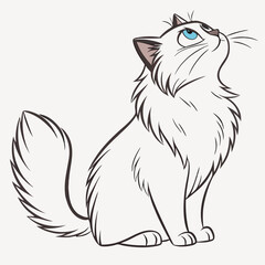 elegant persian cat with long fluffy fur sitting