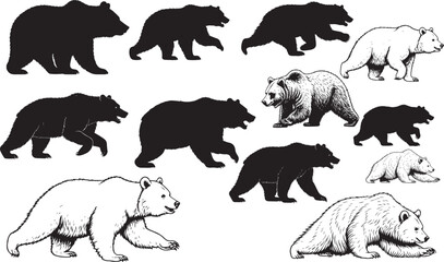 Bear Silhouettes Vector Pack