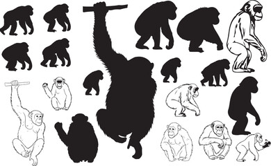 Obraz premium Chimpanzee Silhouettes Vector Pack