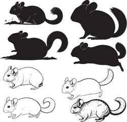 Chinchilla Silhouettes Vector Pack
