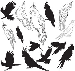 Obraz premium Cockatiel Silhouettes Vector Pack