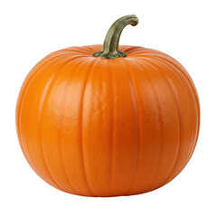 Perfect orange pumpkin isolated on transparent background