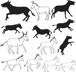 Donkey Silhouettes – Solid Black & Outline Vector Set
