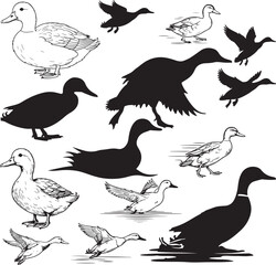 Duck Silhouettes – Solid Black & Outline Vector Set