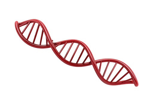 Red dna double helix structure isolated on transparent background, PNG