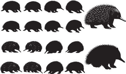 Echidna Silhouettes – Solid Black & Outline Vector Set