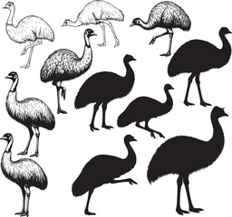 Emu Silhouettes – Solid Black & Outline Vector Set