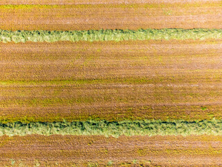 Fresh hay on field in summer
