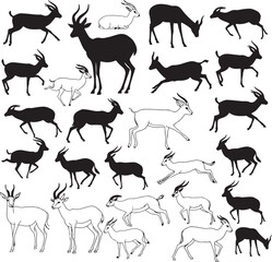 Gazelle Silhouettes – Solid Black & Outline Vector Set