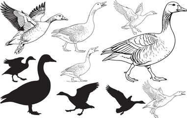 Goose Silhouettes – Solid Black & Outline Vector Set