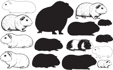 Guinea Pig Silhouettes – Solid Black & Outline Vector Set