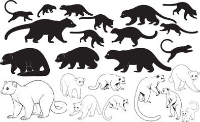 Kinkajou Silhouettes – Solid Black & Outline Vector Set