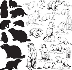 Marmot Silhouettes &ndash; Solid Black & Outline Vector Set