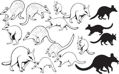 Ostrich Silhouettes – Solid Black & Outline Vector Set