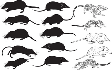 Shrew Silhouettes &ndash; Solid Black & Outline Vector Set