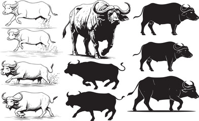 Water Buffalo Silhouettes – Solid Black & Outline Vector Set
