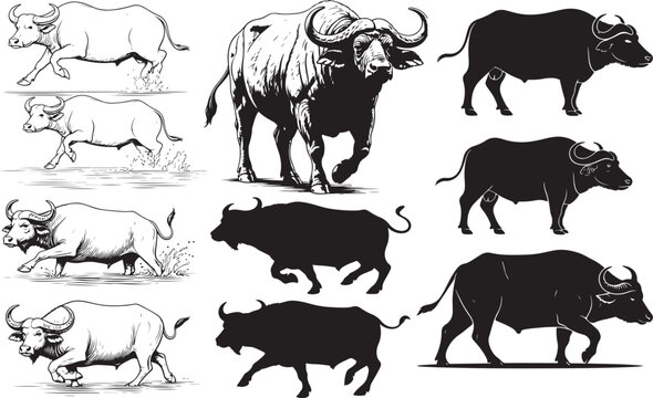 Water Buffalo Silhouettes &ndash; Solid Black & Outline Vector Set