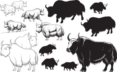 Yak Silhouettes – Solid Black & Outline Vector Set