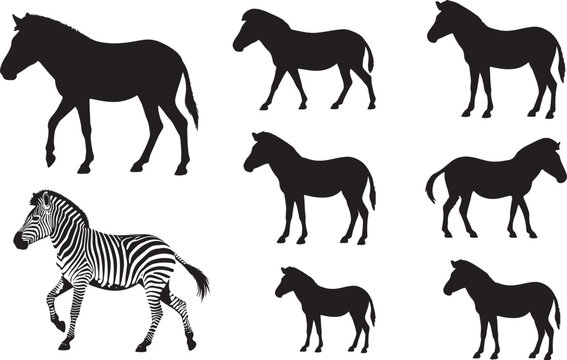 Zebra Silhouettes &ndash; Solid Black & Outline Vector Set