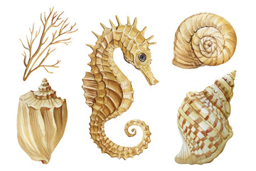 Watercolor Seahorse and Shells Clipart Set Brown Ocean Elements with Coral and Marine Details for design projects 