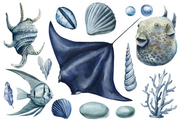 Watercolor Stingray Shells and Pebbles Clipart Set Ocean Animals Blue Sea Life Illustration for nature design, poster