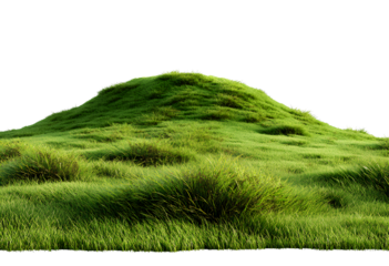  Green grass hill, isolated on a transparent background