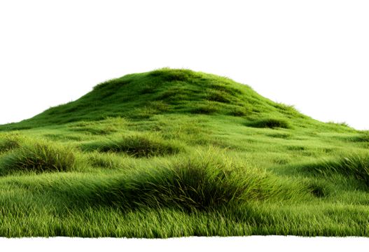  Green grass hill, isolated on a transparent background